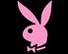 playboy 